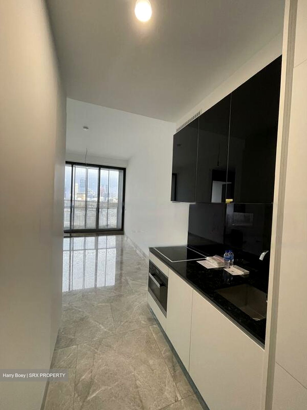Martin Modern (D9), Condominium #473419641